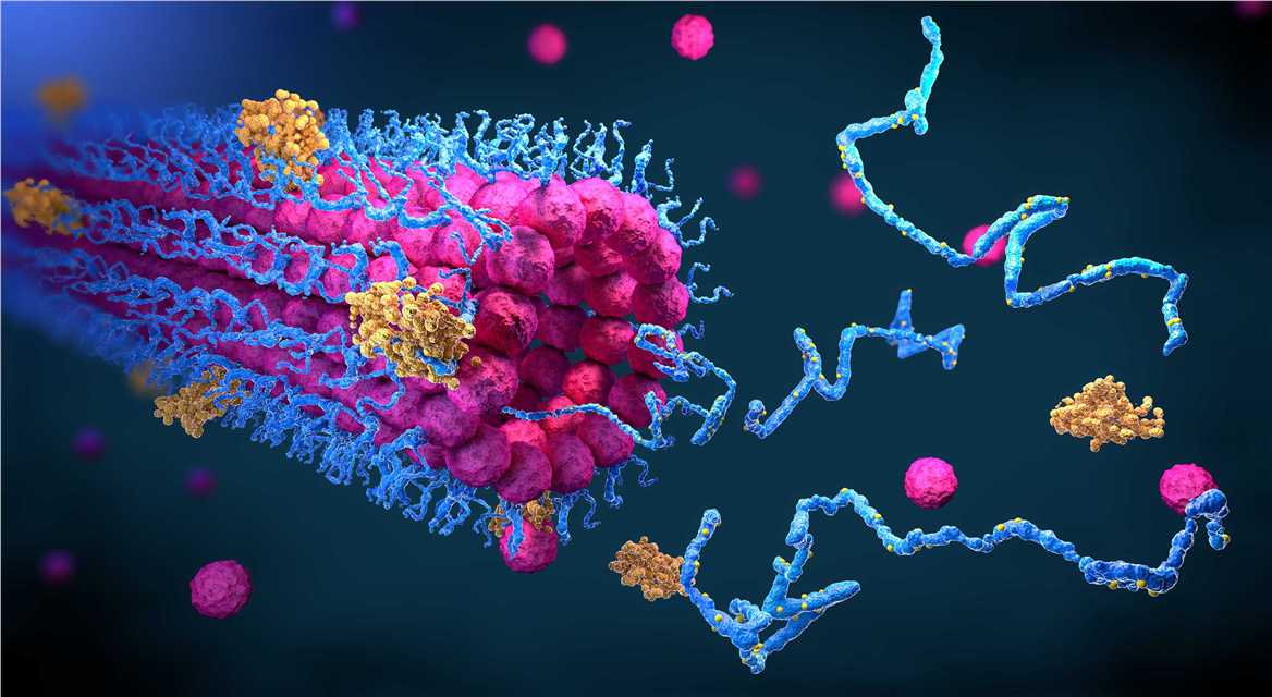 Fungal Transcriptomic Analysis