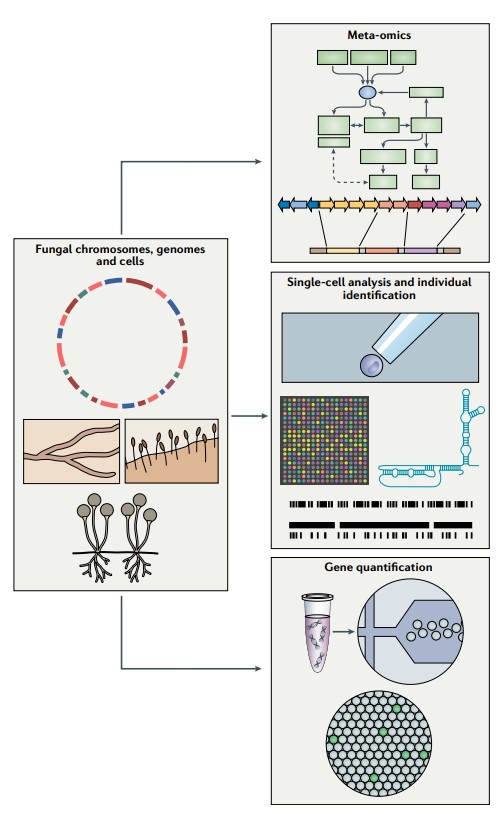Figure 1. Emerging sequencing techniques.