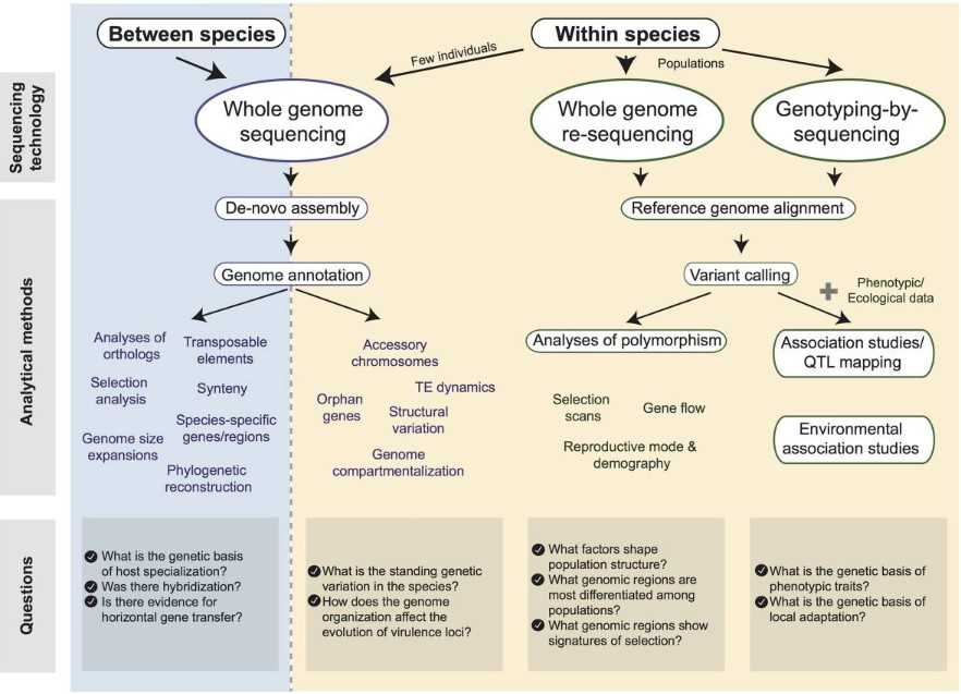 Figure 1. Diagram of tools available for the analysis of fungal pathogen genomes.