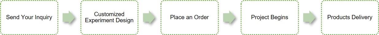 How to Place an Order
