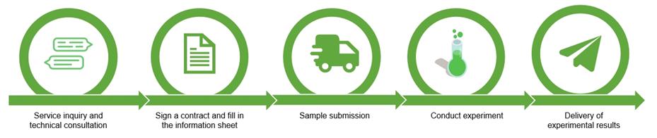 Service process of Gene Sequencing Analysis of Agricultural Phages