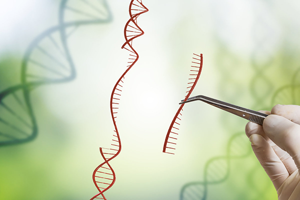 Gene Expression Profiling