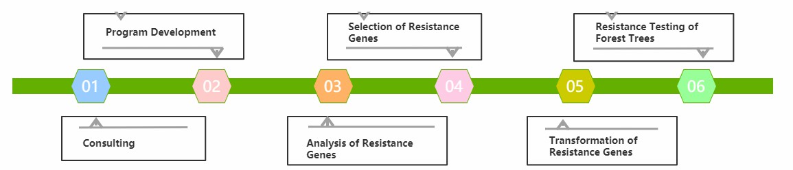 Service Flow Chart of Genetic Improvement of Forest Tree Resistance - Lifeasible.