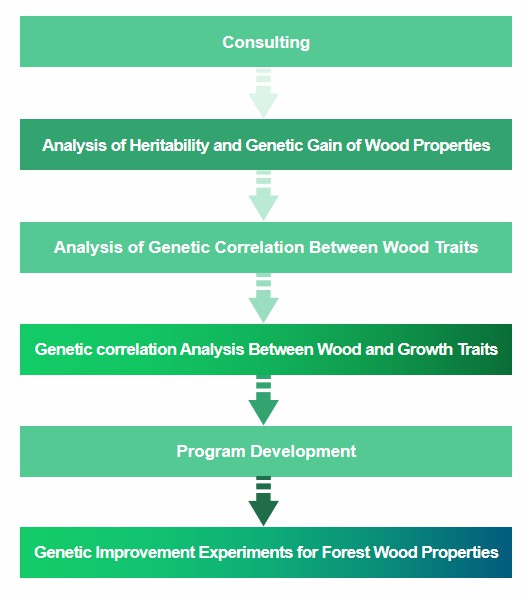 Service Flow Chart of Genetic Improvement of Forest Wood Properties - Lifeasible.