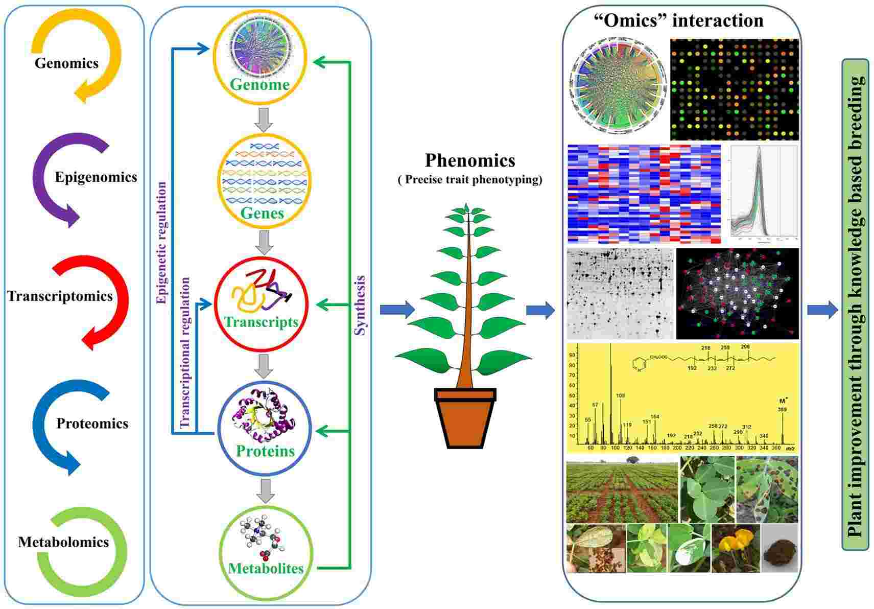 Fig. 1. An overview for the use of omics approaches for crop improvement.