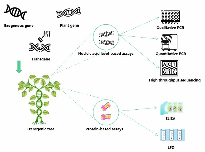 Figure 1. The core approaches for GMO tree analysis.