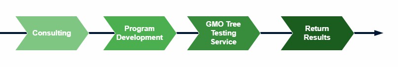 Service Flow Chart of Genetically Modified Tree Testing Service - Lifeasible.