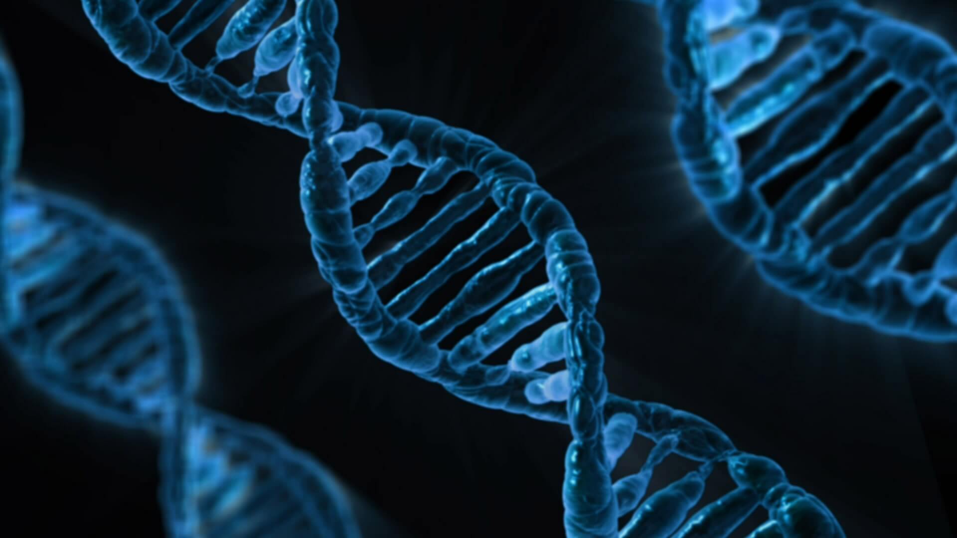 Genome Size Determination