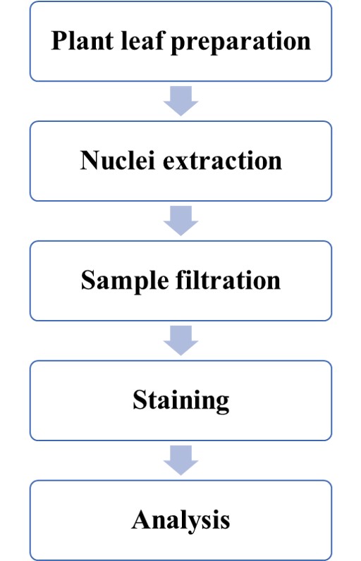 Genome Size Determination