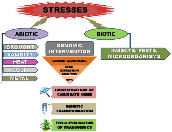 Fig.1. Use of Genomics to Improve Stress Tolerance.