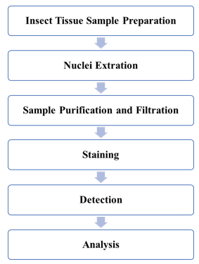 Insect Genome Size and Ploidy Detection Service