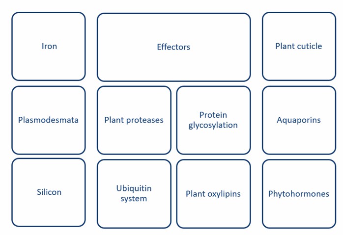 Fig. 1 Key actors in plant-pathogen interactions - Lifeasible.