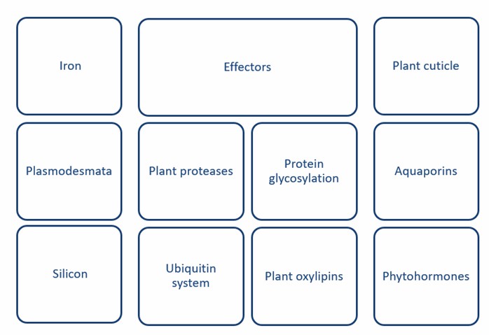 Fig. 1 Key actors in plant-pathogen interactions - Lifeasible.