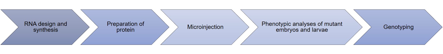 CRISPR/Cas9 technology services