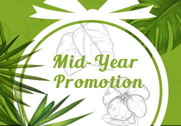 Mid-Year Promotion comes to Lifeasible Inc.