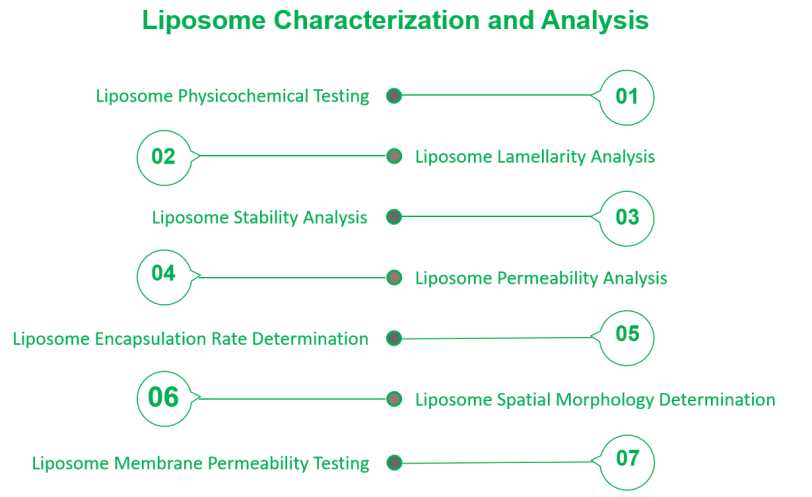 Service Content of Liposome Characterization and Analysis