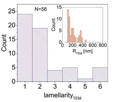 Figure 1. Lamellarity distribution.