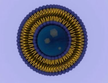 Liposome Platform