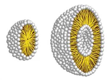 Liposome Spatial Morphology Determination