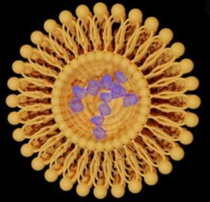 Liposome Stability Analysis