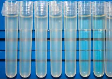 Liposome Turbidity Measurement Services