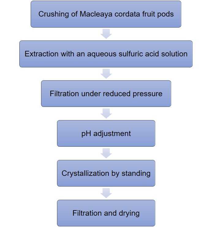 Macleaya cordata Extract and Analysis