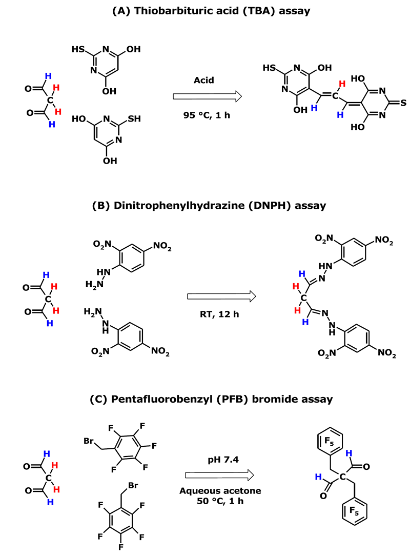 Figure 1. Simplified  schematic descriptions of three different reactions that are utilized in MDA  analysis (Tsikas, 2017).