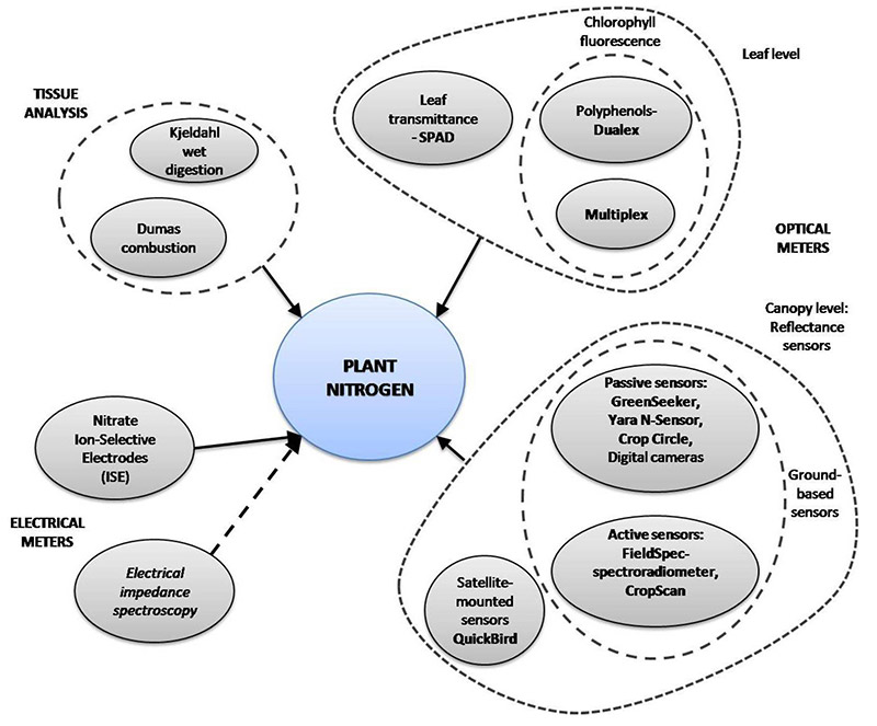 Figure 2. Methods for plant  nitrogen sensing (Muñoz-Huerta et al., 2013).