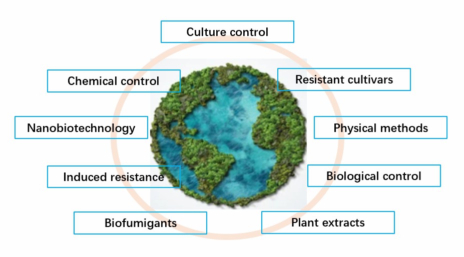 Strategies of nematode diseases management infographic.