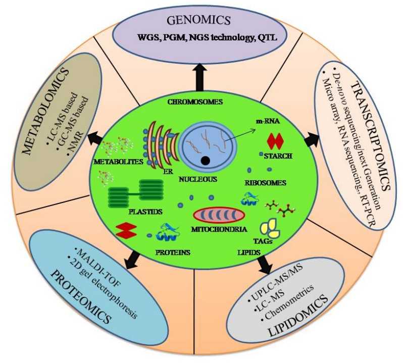 Schematic of omics approaches for microalgae.