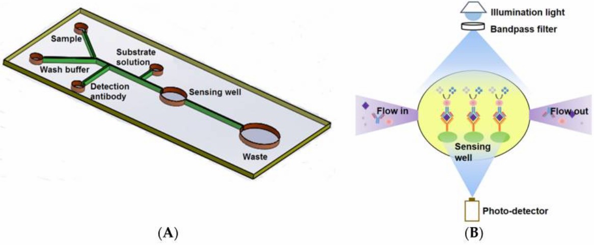 Summary of the applications of nanomaterials in the food sector.