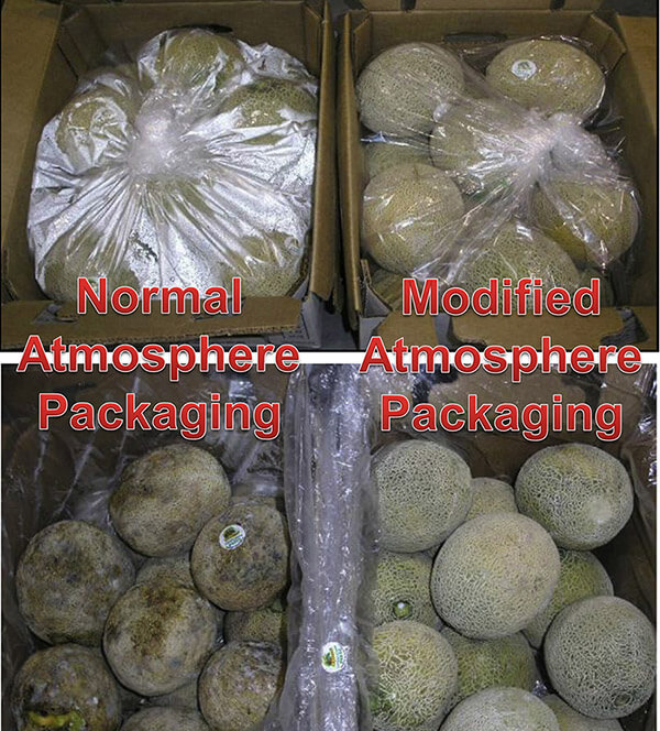 Modified-Atmosphere-Packaging-Analysis