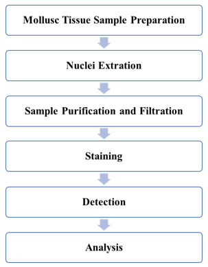 Molluscs Genome Size and Ploidy Detection Service