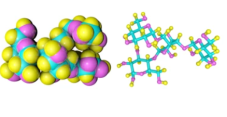 Mollusks Polysaccharide Extraction and Isolation Services