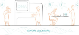 Mollusks Whole Genome Sequencing Services