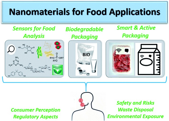 Summary of the applications of nanomaterials in the food sector.