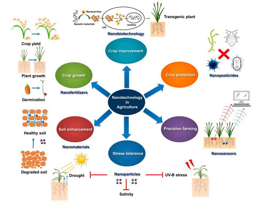 Fig. 1 Applications of nanotechnology in agriculture (Shang et al., 2019).