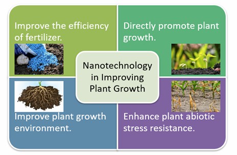 Fig.1 The role of nanotechnology in improving plant growth – Lifeasible.