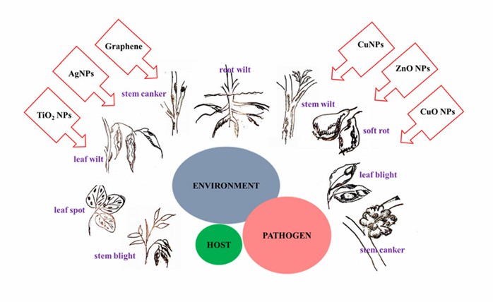 Fig. 1 Schematic showing the disease triangle, common disease symptoms in plants, and examples of nanoweapons (antimicrobial nanomaterials) to achieve disease control (Rajwade et al., 2020). 