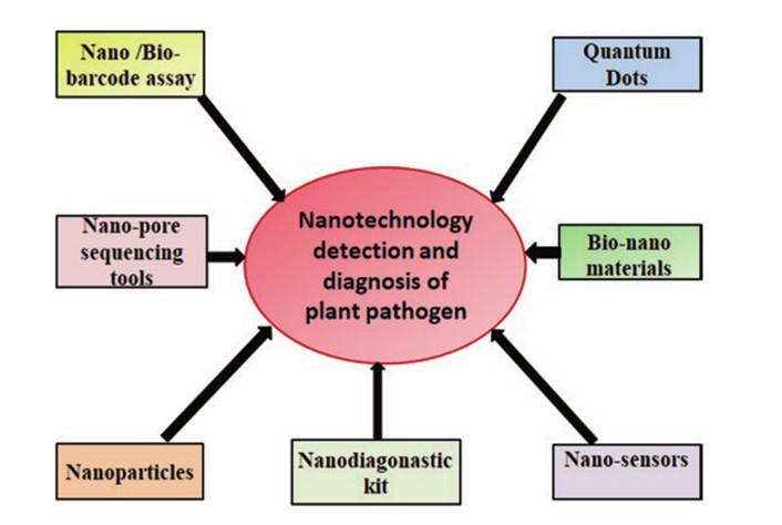 Fig. Effect of different nanotechnology approaches for detection and diagnosis of plant pathogens (Younas et al., 2020).