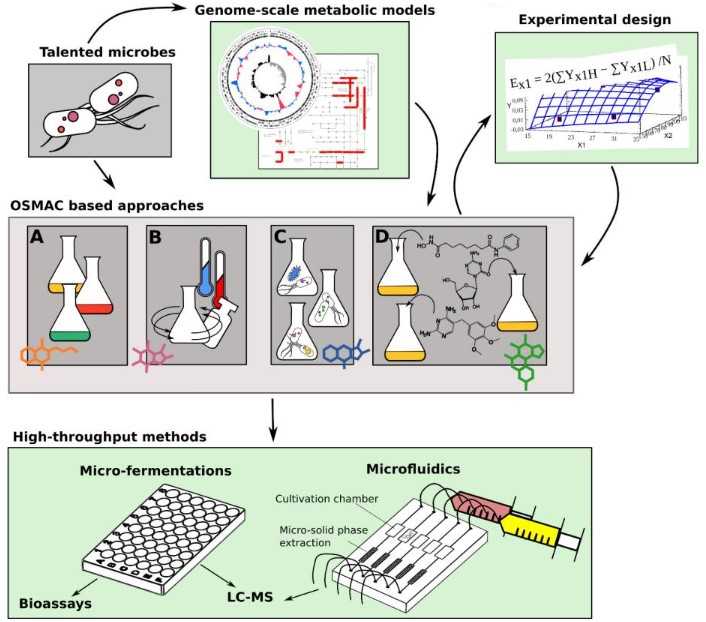 Figure 1. Overview of the one strain many compounds based approaches to elicit production of cryptic secondary metabolites.