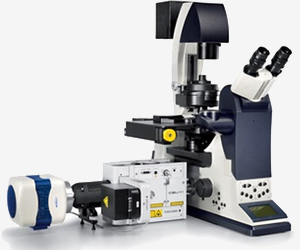 Spinning Disk Confocal Microscope