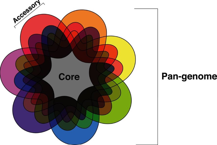 Figure 1. Venn diagram of the pan-genome.