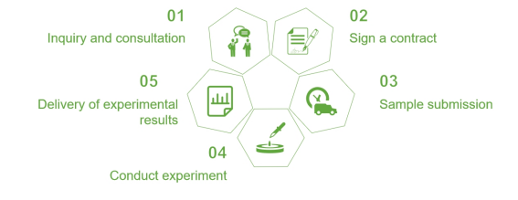 Service process of Phylogenetic Analysis Services for Agricultural Phages