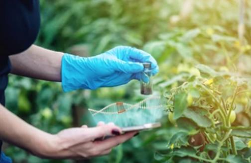Plant protection-research on plant protection technology.