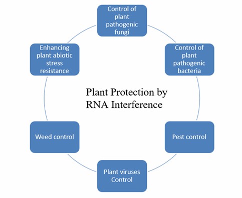Fig. 1 Plant protection by RNA interference – Lifeasible.