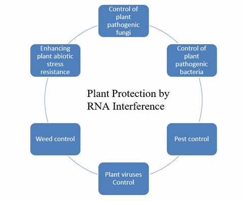 Fig. 1 Plant protection by RNA interference – Lifeasible.