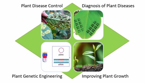 Fig. 1 Application of nanomaterial in plant protection - Lifeasible.
