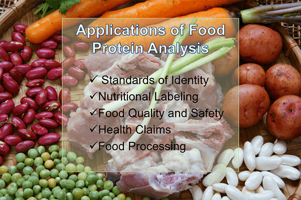 Protein Analysis