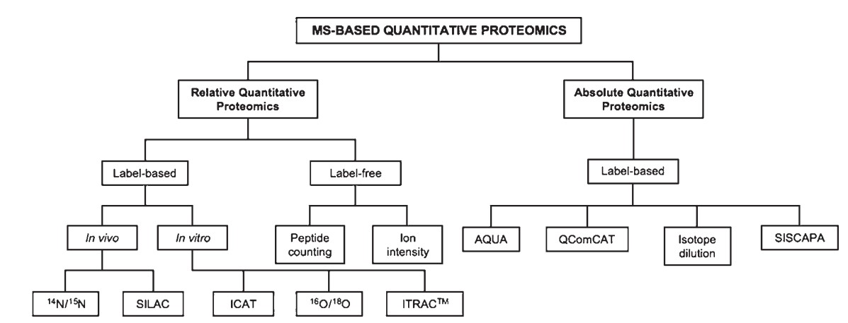 Scheme of quantitative proteomic methods.